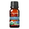 Cliganic Aceite Esencial Essential Oil 10 Ml Eucalyptus