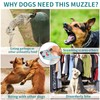 Extra Large Dog muzzles to Prevent Biting