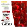 BioHerb Astaxantina 12mg Omega 3 EPA y DHA Fórmula Premium