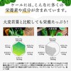 Q'SAI Aojiru The Kale Honey Powder 7g×30 Sachets with Shaker
