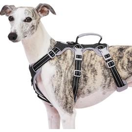 Huntboo Escape Proof Harness, No Slip Dog Harness Escape Proof, Fully Reflective Harness with Handle, Breathable, Durable, Adjustable Vest for Medium Dogs Walking and Training Gear (Black, M)