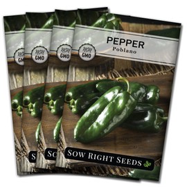 Sow Right Seeds - Poblano Pepper Seeds for Planting - Non-GMO Heirloom Packet with Instructions to Plant a Home Vegetable Garden - Hot Ancho Chile Variety to Grow, Spicy and Abundant (4)