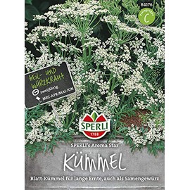 Sperli Seeds Cumin Sperli's Aroma Star