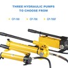 NEWTRY CP-180 Manual Hydraulic Hand Pump Single Acting 853psi for