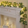Waipfaru Christmas Decoration Indoor - 6FT Eucalyptus Garland with Timer,
