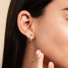 Earrings,Solid 925 Sterling Silver Hoop Earrings, Rainbow Colorful Cubic Zirconia Hoop Earrings, Fine Jewelry for Women (9K GOLD)