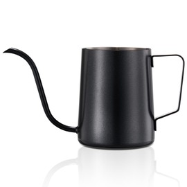Lizhluzh Watering Can Indoor Plants, Indoor Watering Can 20 oz / 600 ml, Small Watering Can with Long Spout, Stainless Steel Plant Watering Can (Black)