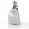 Ceramic Owl Succulent Planter Pot with Drainage Tray, Cute Animal