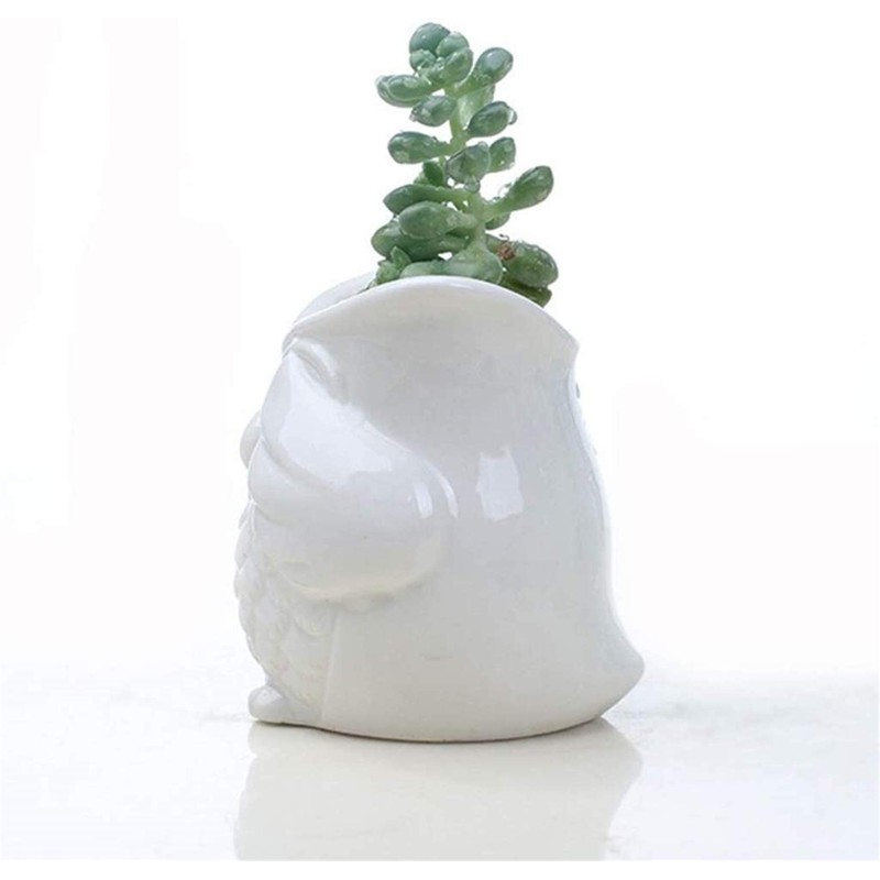 Ceramic Owl Succulent Planter Pot with Drainage Tray, Cute Animal