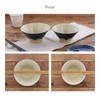 EAST Table Rice Bowl, Mt. Fuji, Kiriyukanuri, Japanese Tableware, Large
