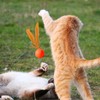 Cat Balls Toys for Indoor Cats, Cat Chew Ball Toys,