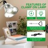 Simple Deluxe 12-Pack Clamp Lamp 5.5 Inch Aluminum Reflector (no