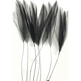 Black Stripped Hackle Feathers - Fascinators, weddings.4 inches approx x 8
