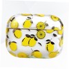 KONTONTY Wireless Earphone Case Cover for Lemon Fruit Resistant PC