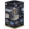 Iris Ohyama LED Lamp Filament, E26 Base