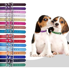 TenCloud Pet Collar Set of 12 or 16 Adjustable ID Collars Leather for Puppy Medium Large Breed Dogs Neck 6''~18'' (S(Neck:6"~12"))