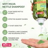 Nettle Shampoo – Helps Regulate Sebum Production, Reduce Dandruff &