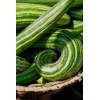 TomorrowSeeds Striped Armenian Cucumber Seeds | Painted Serpent Yard Persian