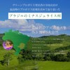 Terao Shosha Megumi Bee Propolis Made by Green Propolis Discerns,