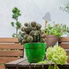 Maceta de autorriego Asti, Jardín, Mentol/Blanco, 7.9