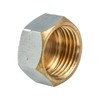 tecuro Cap with Hexagonal Brass Chrome-Plated Internal Thread 3/4 Inch
