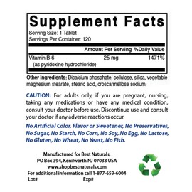 Best Naturals Vitamin B6 25mg, 120 Tablets (120 Count (Pack of 1))