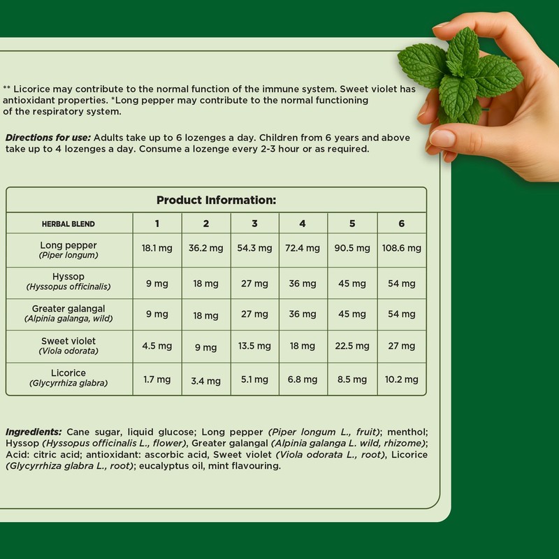 Herbion Respiratory Care Lozenges, Mint Flavour Herbal Blend for Throat