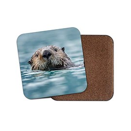 1 x Cute Sea Otter Coaster - Otters Wildlife Sea Animal Nature Fun #14162