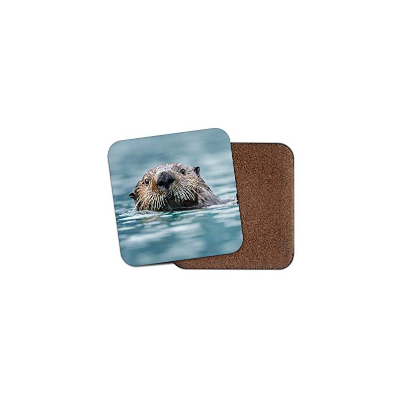 1 x Cute Sea Otter Coaster - Otters Wildlife Sea