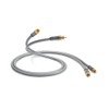 QED Performance Audio 40i Stereo 2 Phono TO 2 Phono