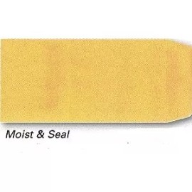 AutoDealerSupplies License Plate Mailing Envelope Plain. #831