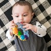 Baby Einstein, Teether-pillar Rattle and Chill Teething Aid Toy, Soothing