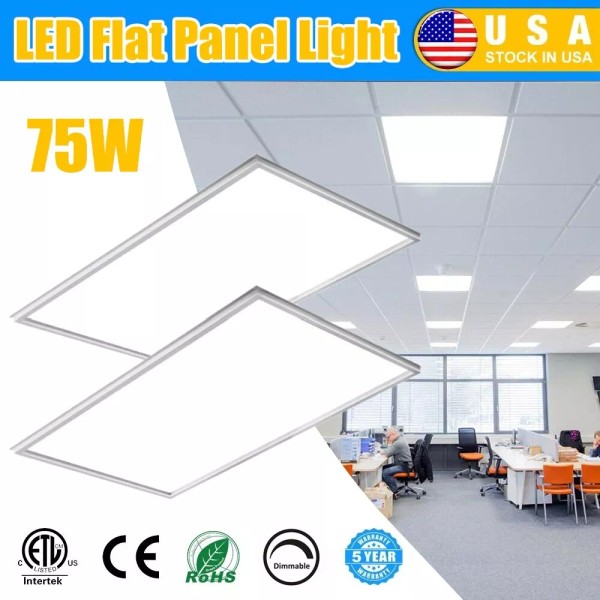 WYZM 2 Pack 2x4 FT LED Flat Panel Light,75W Drop