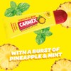 Carmex Carmex Moisturising Lip Balm Tube - Pineapple Mint, 11.6ml