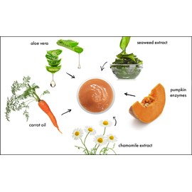 RAYA Pumpkin Enzyme Facial Puree (127) | Gentle and Exfoliating Treatment for All Skin | Reduces Fine Lines and Minimizes Pore Size