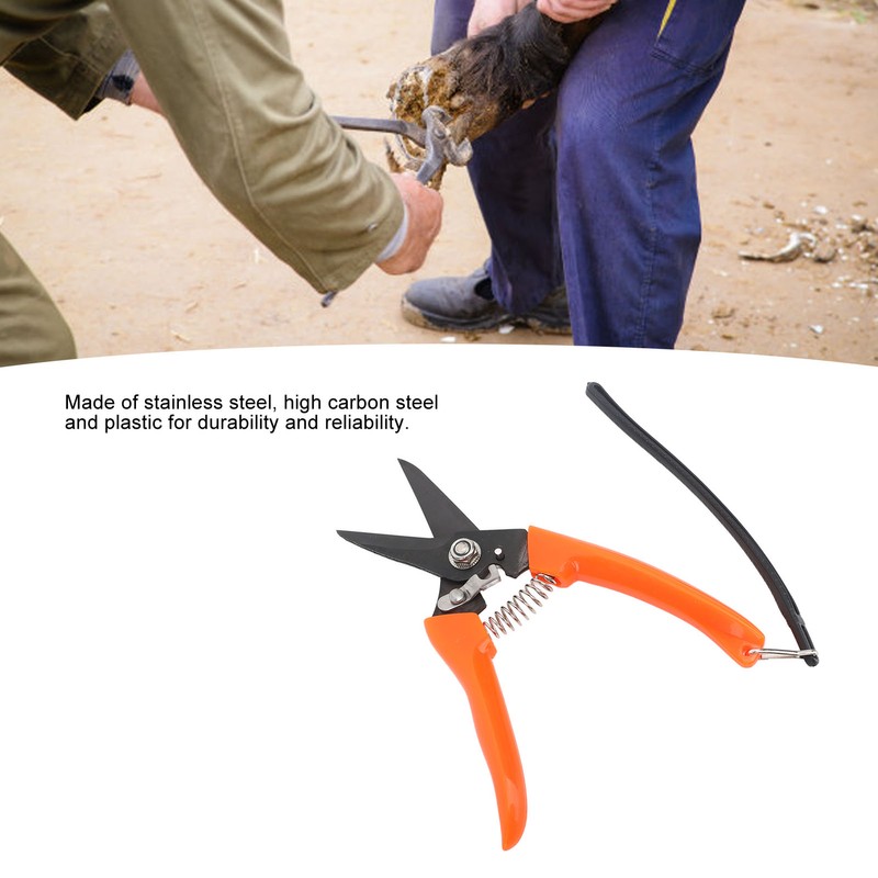 Hoof Shear Red Stainless Steel High Carbon Steel Multifunctional Hoof