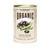 Eat Wholesome Organic Italian Canned Black Beans, 398 ml (Pack
