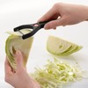 Westmark Cabbage Slicer Universal, Stainless Steel Black/Silver, 17.1 x 10