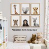 Set of 6 Baby Safari Nursery Wall Decor - Picture