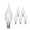 carryBC Candelabra LED Bulbs 2700K 40w Equivalent Improve Flame tip