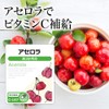 Lipsa Acerola C-147-2 (90 capsules x 2 bags), Supplement, Vitamin