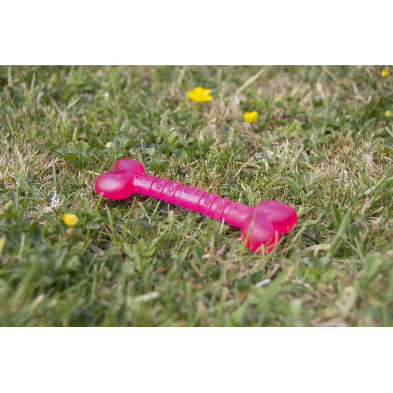 Rosewood Biosafe Puppy Bone Dog Toy, Pink