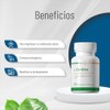 Nutrasien100 L-Carnitina 500 mg Con T Verde y Jengibre Energa