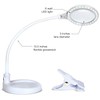 Brightech LightView Pro Flex 2 in 1 Magnifying Desk Lamp,