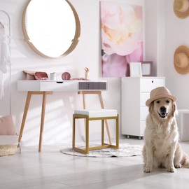 FLYZC Vanity Stool, Vanity Chair Stools for Makeup Room, Faux Leather Small Makeup Bench, Modern Gold Metal Legs Ottoman Foot Rest for Bedroom Living Room, White & Gold