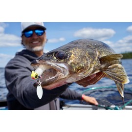 Northland Fishing Tackle Deep-Vee Spin Jig, Versatile Walleye Spinning Jig with Thumper Willow Blade, Multi-Species Lure, Essential Fishing Bait, 1/4 Oz, Purpledescent