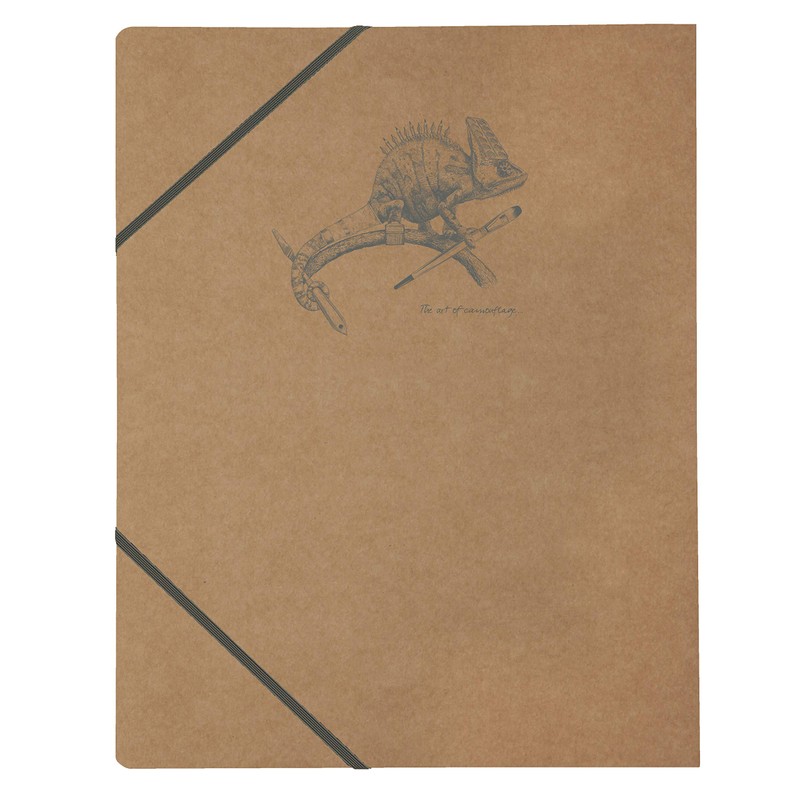 Clairefontaine 103514C - Pack of 5 Flying Spirit Collector's Folders