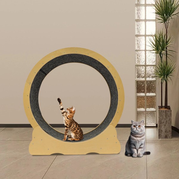 Unbranded 42 inch Large Cat Treadmill, Cat Treadmill for Indoor