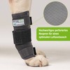 Nature Pet Medium Rehab Bandage for the Front of the