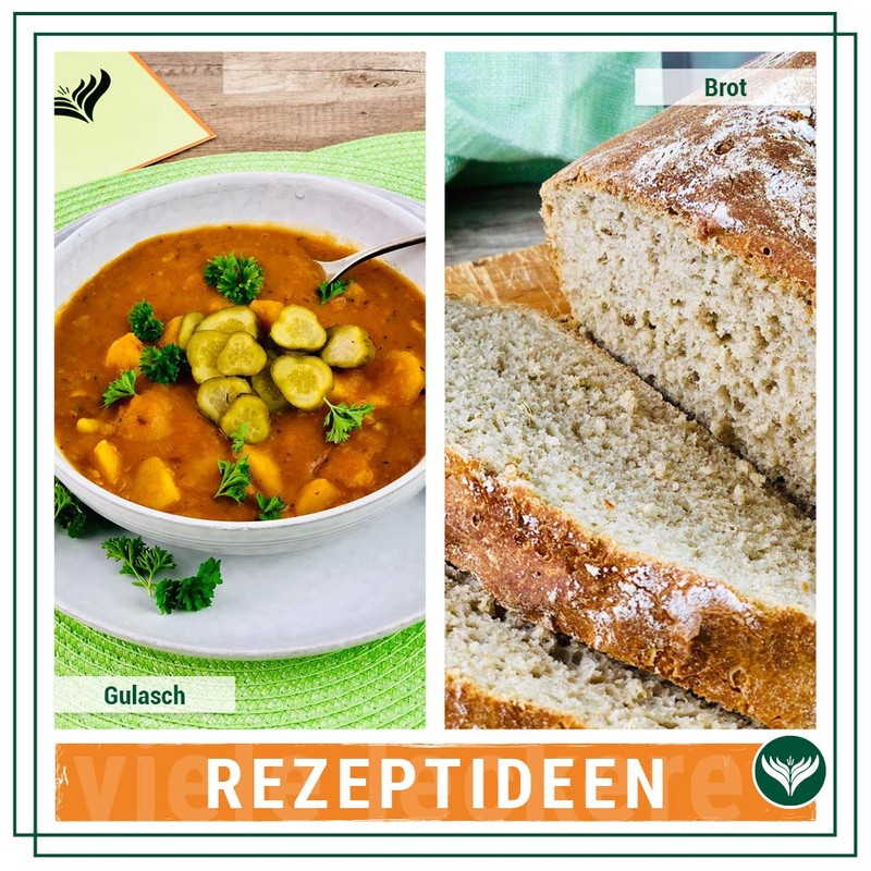 Azafran Organic cumin whole 250 g